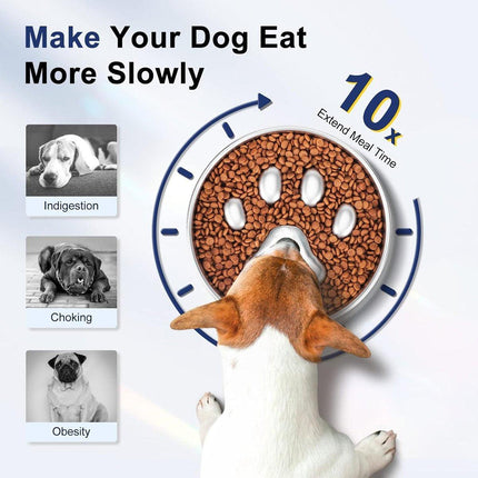 Cat Dog Pet Slow Food Bowl Feeding Dish for Cats Dogs Puppy Food Bowl