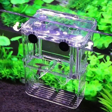 Guppy Breeding Aquarium Fish Tank Hatchery Isolation Breeder Rearing Box - Aimall
