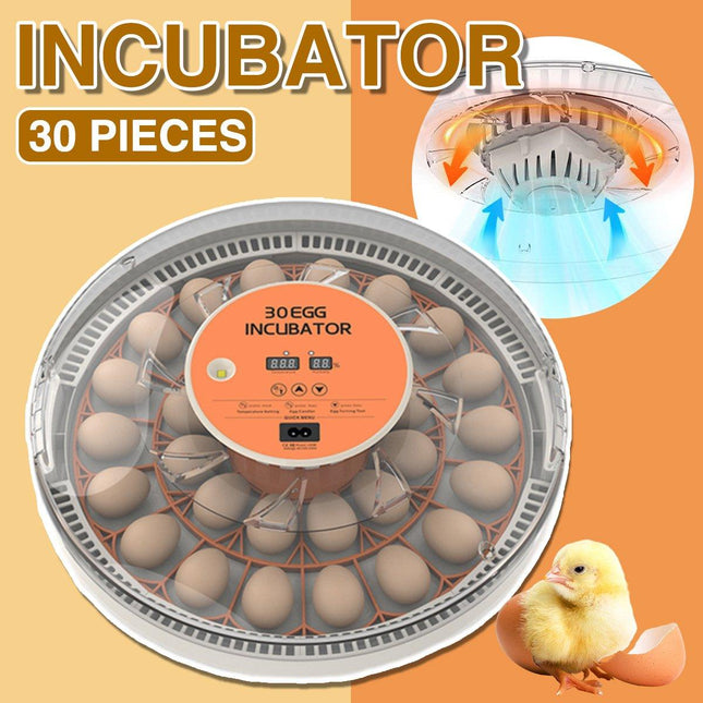30 Egg Incubator Automatic Hatching Machine Home Use Small Poultry Eggs Flipper
