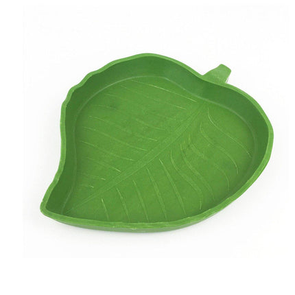 Leaf Shape Reptile Feeding Dish - Natural Food and Water Bowl