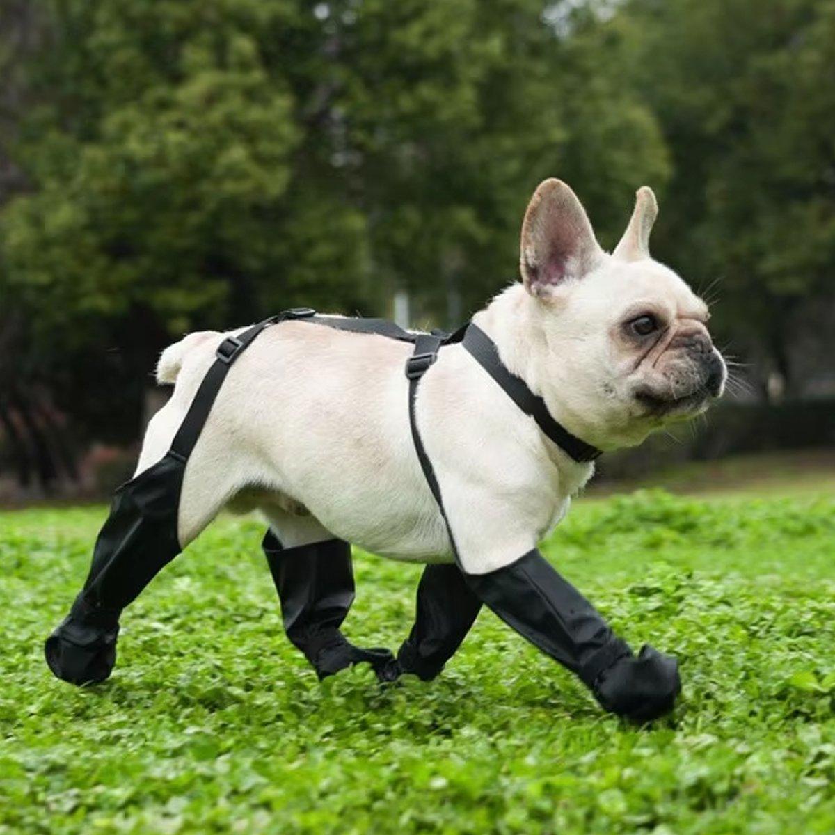 Dog Adjustable Suspender Boots Waterproof Dog Shoes Anti-Slip Pet