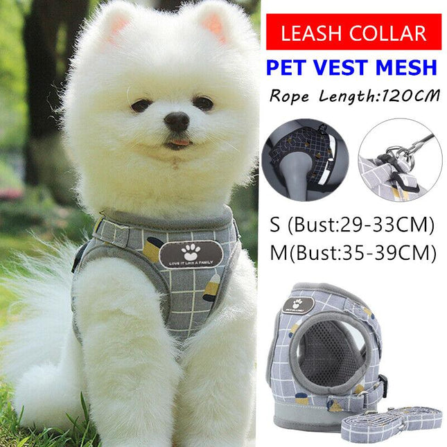 Grey Kitten Dog Cat Walking Harness Lead Leash Collar Pet Vest Mesh Adjustable - Aimall