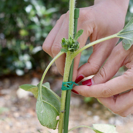 5Rolls Plant Tying Strap Garden Plastic Rope for Climbing Plant Support Fixed