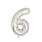 Silver 6