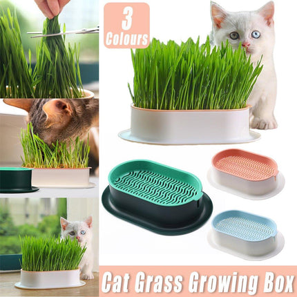 Catnip Hydroponic Box with Cat Snacks Growing Kit for Cats Fresh Catnip Bowl
