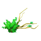CM4103-Green