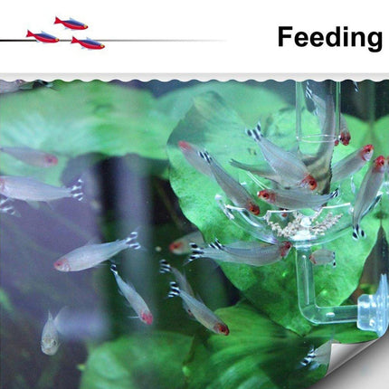 Aquarium Fish Tank Shrimp Food Feeder Clear Glass Feeding Dish Tank Accessory - Aimall