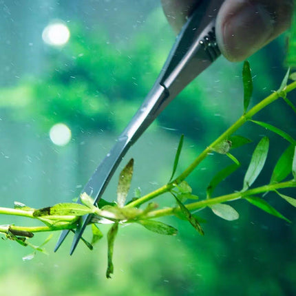 Aquarium Plant Tools Water Grass Spring Scissors Stainless Steel Long Handle