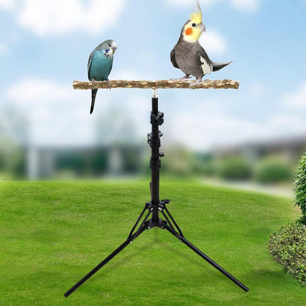 Parrot Activity Stand Pet Bird Stand with Stick Perch for Birds Play and Rest