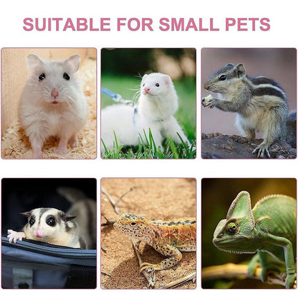 Hamster Traction Rope Anti Bite Mouse Walking Leash Windproof Outdoors Safe - Aimall