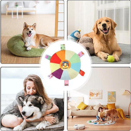 Interactive Dog Frisbee Puppy Teething Toy Pet Training Fetch Toy Outdoor