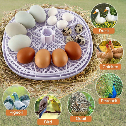Automatic Small Egg Incubator for Chicken Pigeon Efficient Breeding Equipment