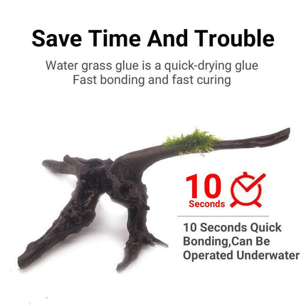 Yabo Gum Moss Seeds Water Grass Growth For Aquarium Aquatic Plant Care Supplies