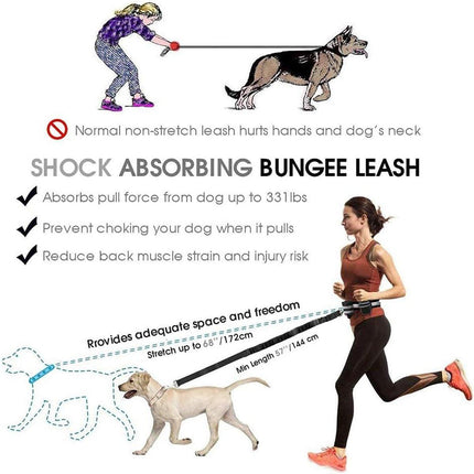Pet Running Belt Multicolour Reflective Waist Pack with Traction Rope and Collar