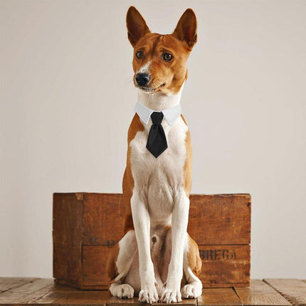 2pcs Pet Bow Tie Collar Dog Cat Suit Dress Accessories Adjustable Neck Strap