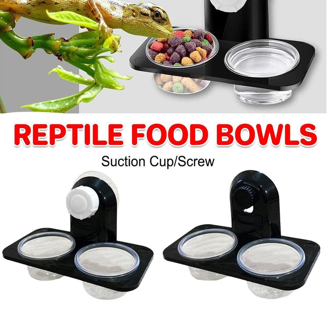 Dual Reptile Food and Water Bowl with Suction Cup Detachable Feeder for Lizards