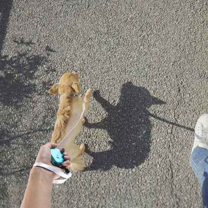 2M Outdoor Mini Retractable Leash Traction Rope Cats Dogs Durable