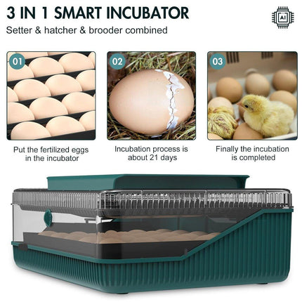 Fully Automatic Egg Incubator New 25 Capacity LED Display for Hen Duck Quail