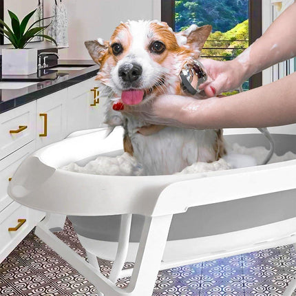 Pet Bath Tub Elevated Stand for Cats and Puppies Portable Bathing Tub for Pets