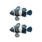 Black Clownfish