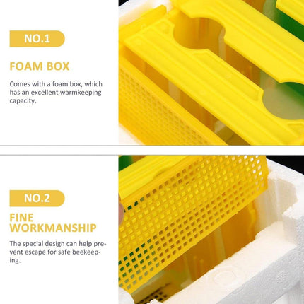 Foam Beekeeping Breeder Box Pollination Bucking Box Beehive Tool