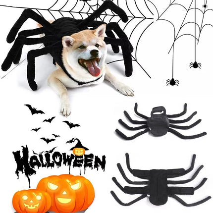 Pet Spooky Big Spider Halloween Costume Dress Up for Dogs Cats and Small Pets
