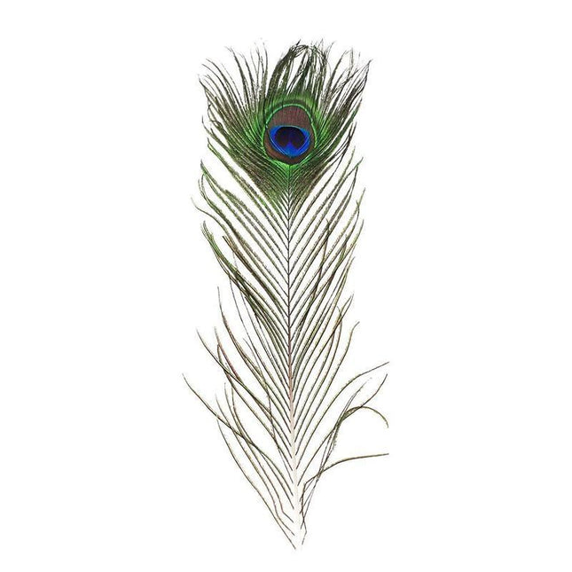 5-10PCS Natural Peacock Tail Eyes Feathers 75-80cm 26-30cm DIY Craft Vase Decor - Aimall