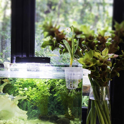 Adjustable Wall Mounted Aquatic Plant Cup for Emersed Plants Water Grass Holder