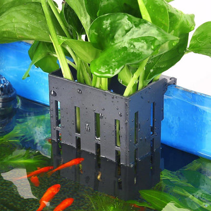 Hydroponic Plant Storage Rack Fish Tank Decoration Square Aquarium Basket Holder