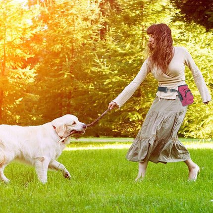 Pet Training Bag Dog Out Portable Snack Bag Dog Walking Bag Garbage Pickup Bag