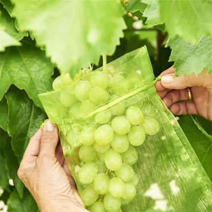 50/100x Fruit Net Bags Agriculture Garden Vegetable Protection Mesh Insect Proof - Aimall