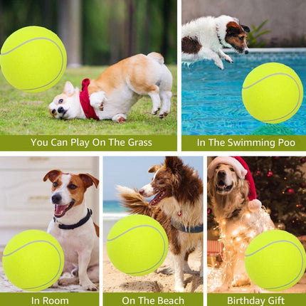 Inflatable Tennis Ball Pet Toy for Dogs Training Interactive Play Fetch Fun