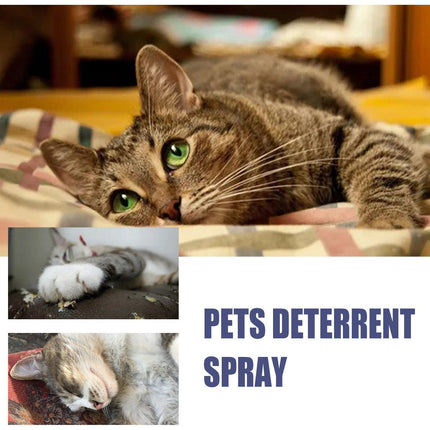 Cat Anti Scratch Spray Protect Door Sofa Furniture Pet Scratch Prevention Spray