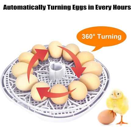 Automatic Small Egg Incubator for Chicken Pigeon Efficient Breeding Equipment
