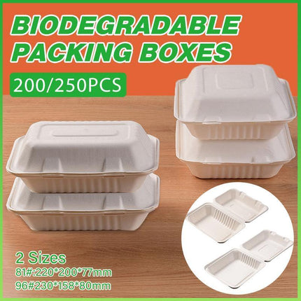 200/250PCS Biodegradable Compostable Ecofriendly Disposable Clamshell Food Box - Aimall