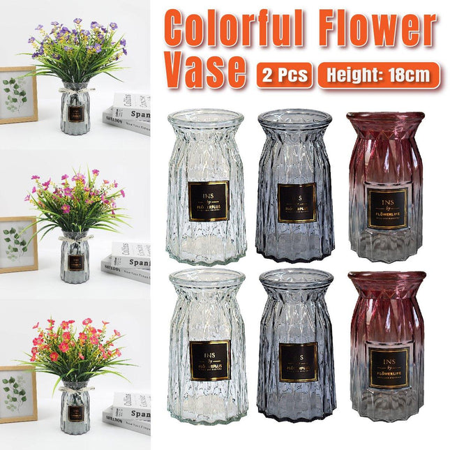 2 Pcs Glass Vase Hydroponic Flower Arrangement Vase for Living Room Decoration