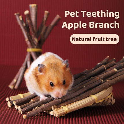 Natural Rabbit Molar Snacks Hamster Branches Sweet Bamboo Grinding Teeth Wood