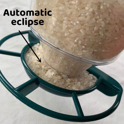 Clear Plastic Automatic Bird Feeder Suspended Suction Cup Feeder with Cover