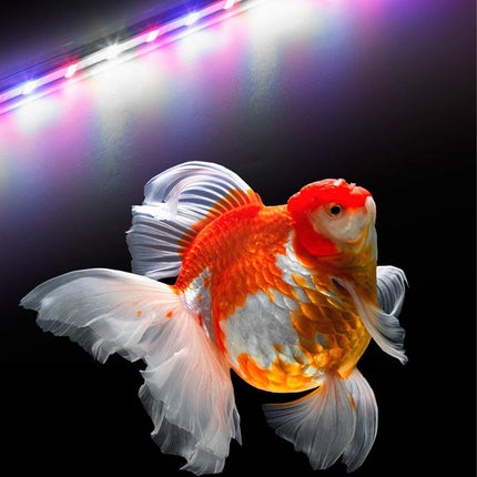 Aquarium Fish Tank Light LED Waterproof Full Spectrum Aqua Lamp RGB