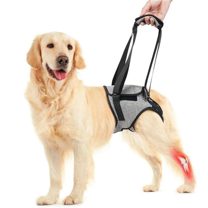 Decompression Back Leg Strap for Injured and Older Dogs Support Harness Aid