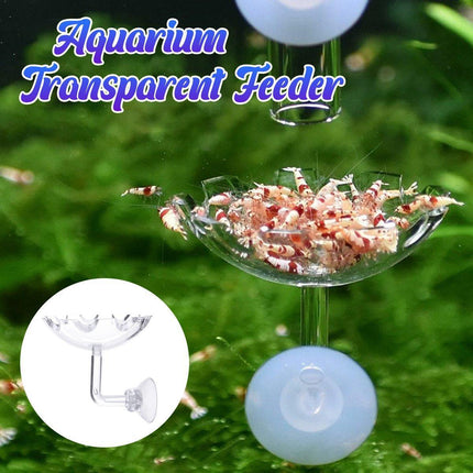 Aquarium Fish Tank Shrimp Food Feeder Clear Glass Feeding Dish Tank Accessory - Aimall