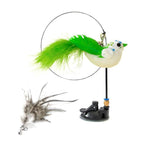 1 Brid and 1 Feather