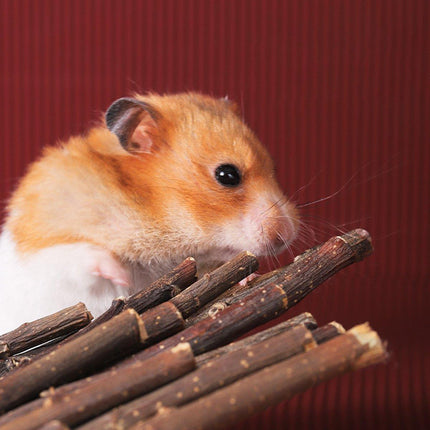 Natural Rabbit Molar Snacks Hamster Branches Sweet Bamboo Grinding Teeth Wood