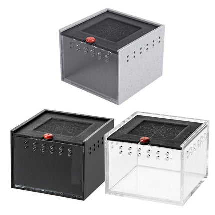  Lizard Reptile Breeding Box