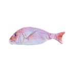 Red Fish