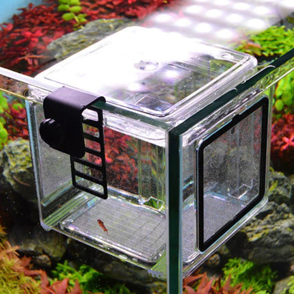 Acrylic Fish Isolation for Aquarium Guppy Fry Tropical Fish Breeding Growth Box