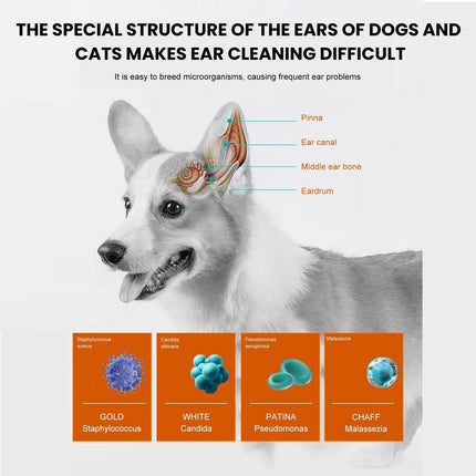 Pet Ear Wipes Gentle Cleaning Deodorizing Mite Removal Ear Wax Care Products