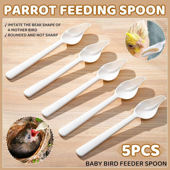 5pcs Parakeet Feeding Spoons Baby Bird Milk Powder Hand-Raised Feeding Tool