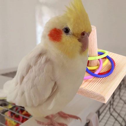 Parrot Chew Toys Interactive Bird Training Rings Set Pet Bird Intelligence Toys