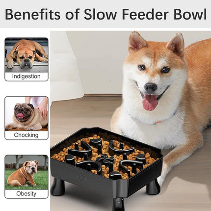 Pet Slow Feeder Bowl Removable Large Capacity Dog Cat Feeding Bowl Anti Slip